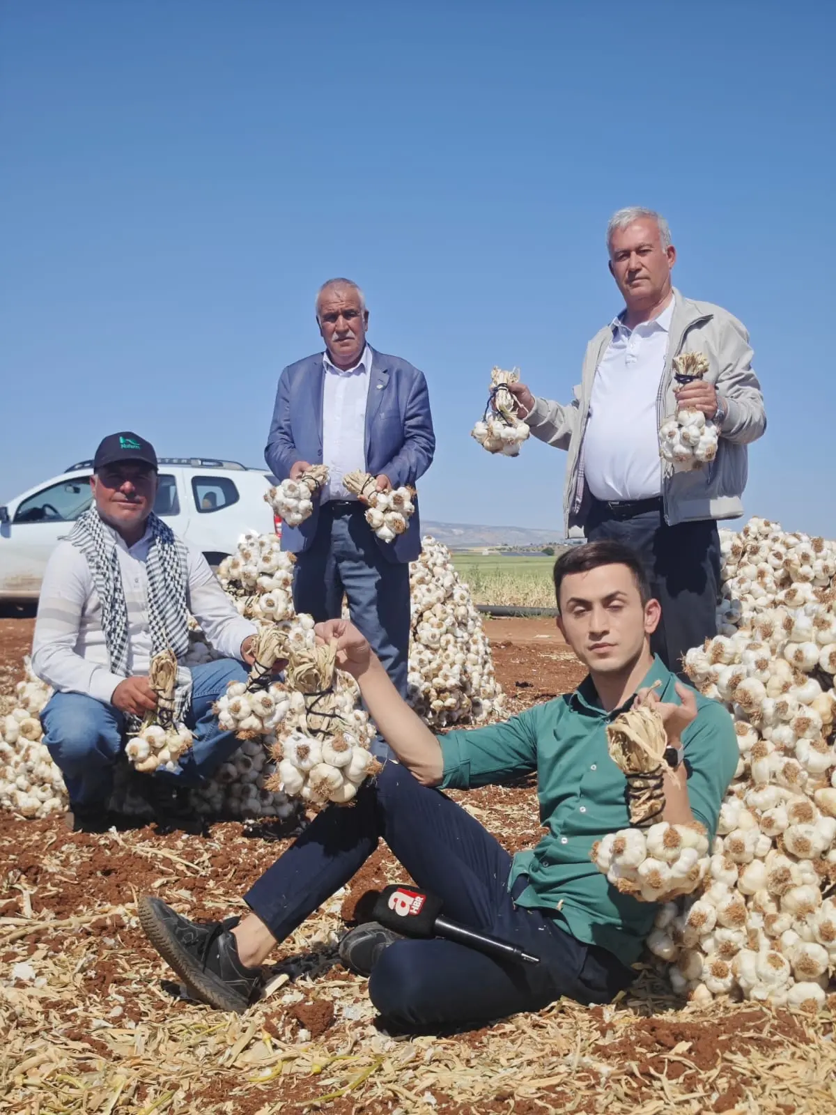 Produzenten präsentieren frisch geernteten Araban Knoblauch